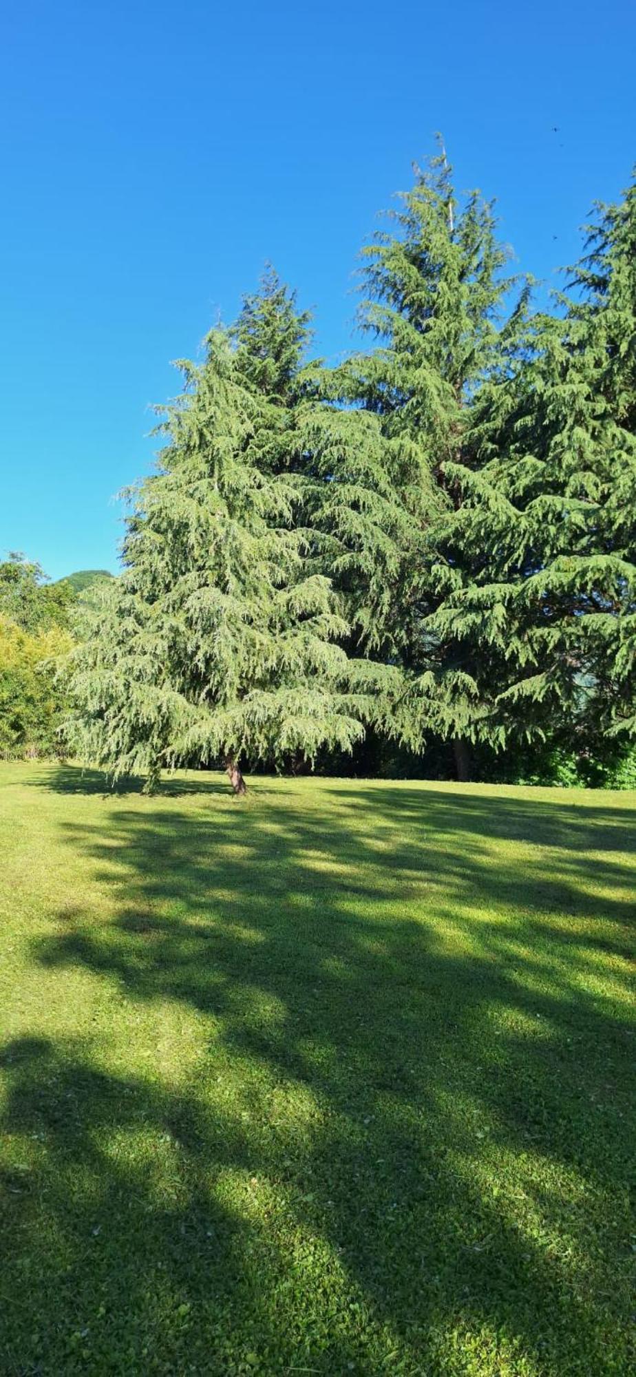Villa Duno A Un Passo Da Citta Alta Clanezzo Luaran gambar